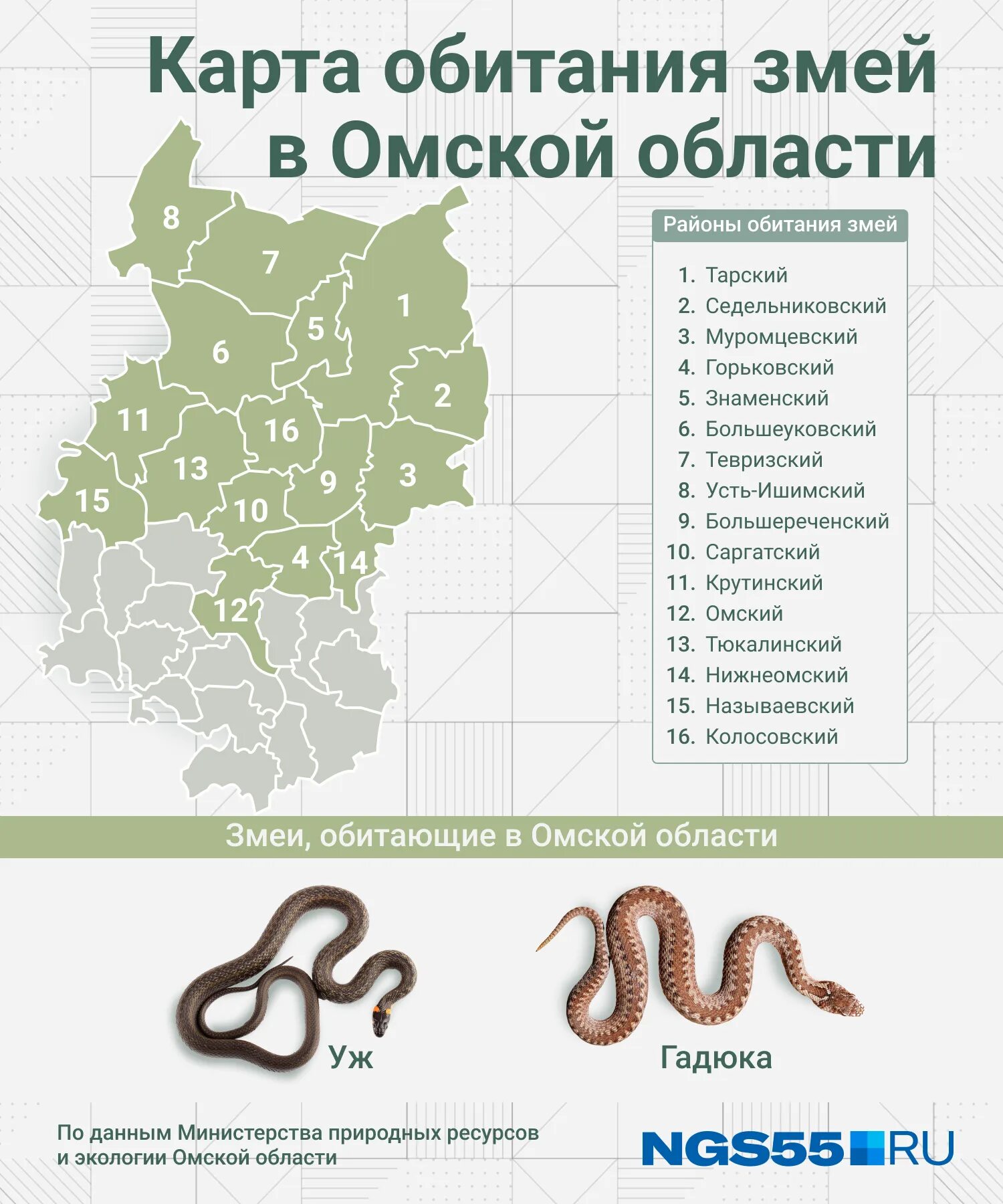 Где гадюки в россии. Карта обитания змей. Змеи в Омской области. Змеи в марийских лесах. Где водятся змеи в России.