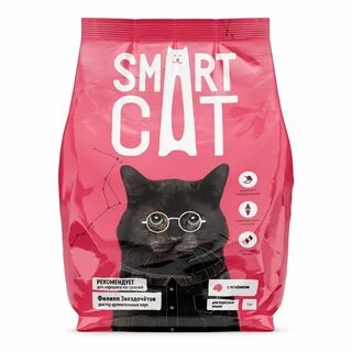 Smart cat