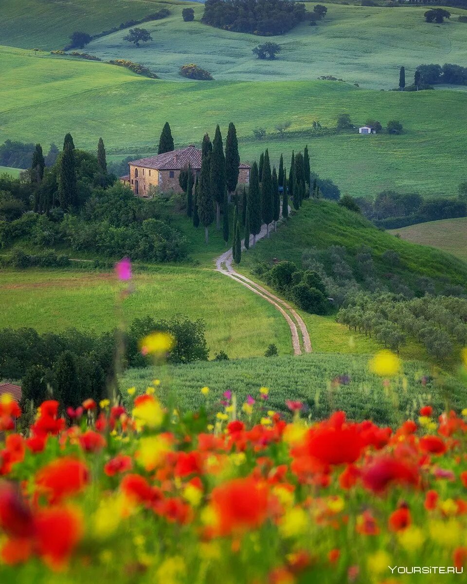 Пьенца тоскана италия. Италия поля тосканы. Италия провинция тоскана. Тоскана италия. Тоскана италия 1480.