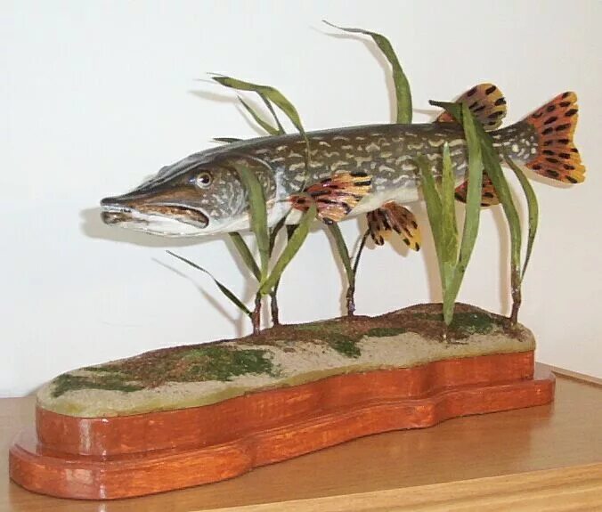 как сделать щуку без. чучело головы щуки. щука запеченная в духовке. фаршированная щука по-еврейски. как сделать щуку без.