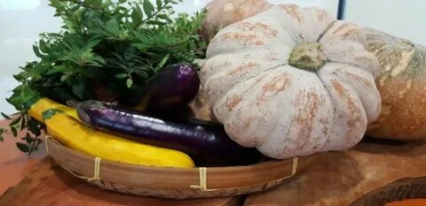 Овощи тыква кабачок