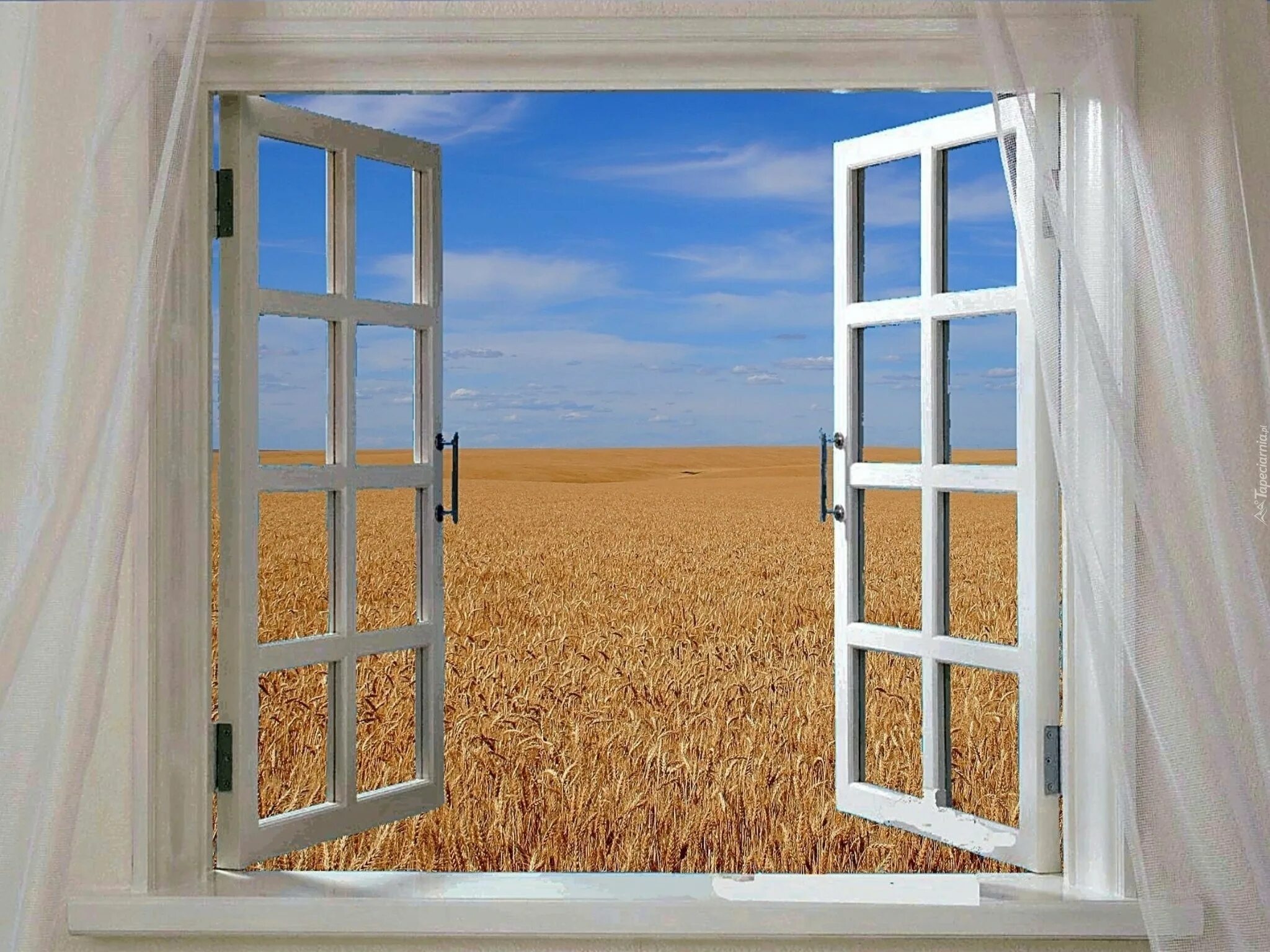 Окно картинка. Фотообои окно видом на природу. Открытое окно. У окна. Окно настежь.
