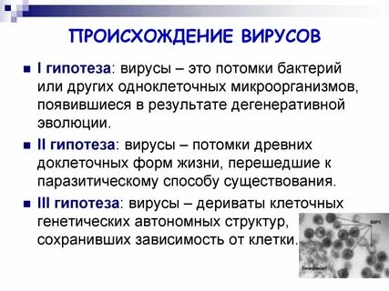 Роль вирусов в эволюции