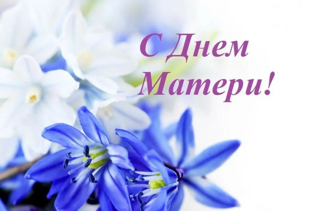 С праздником дорогие наши мамы. С праздником дорогие наши мамы