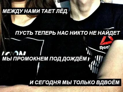 Между нами волки как будто залетают текст
