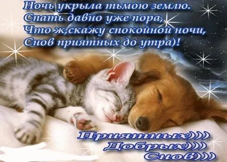 Красивые пожелания спокойной ночи в прозе