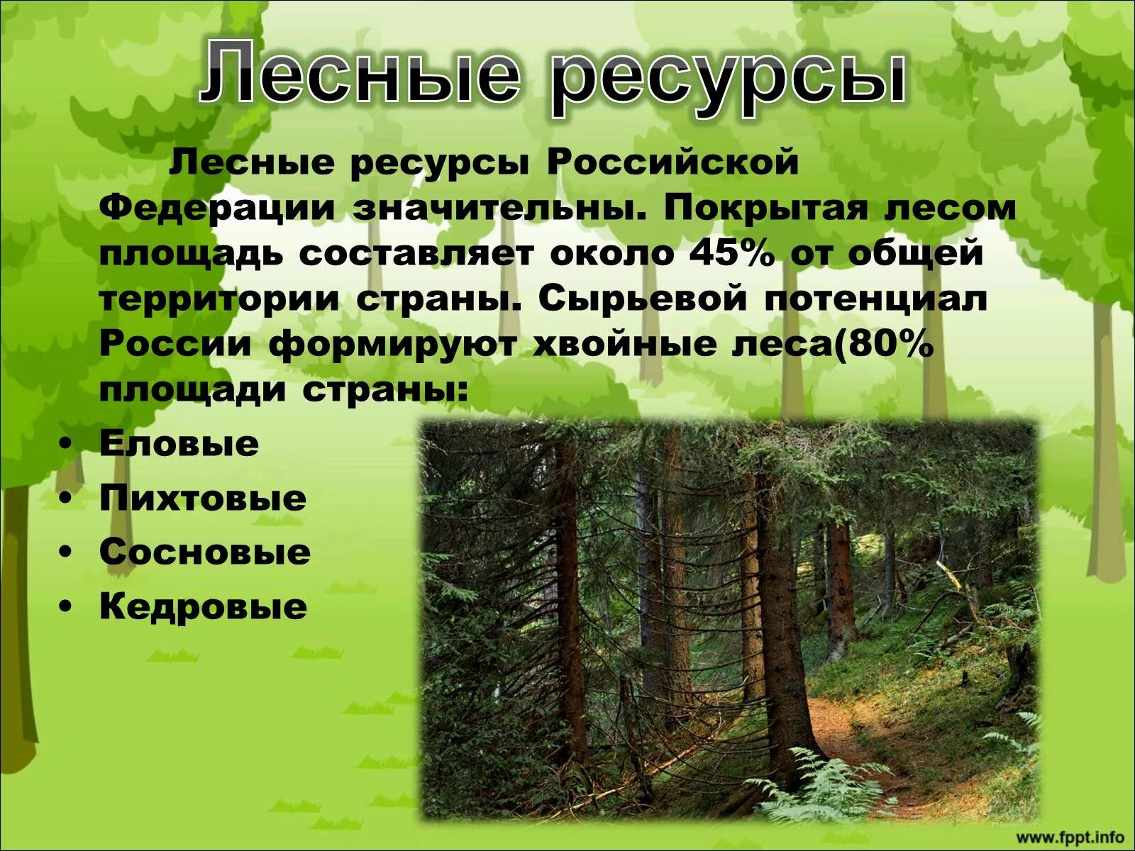 Какими лесными ресурсами богата россия. Лесные ресурсы России. Лесные запасы России. Лесной комплекс России. Лесные ресурсы ресурсы России.