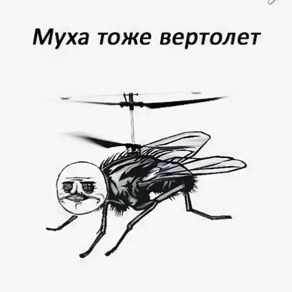 Муха вертолет. А Муха тоже вертолет. Мемы про мух. Муха Мем.