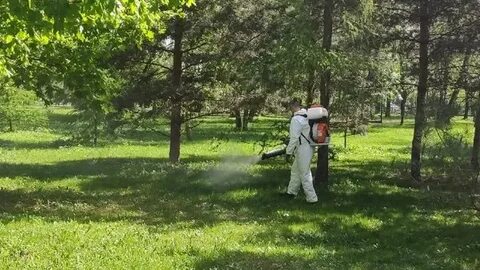 Расписание сэс ступино