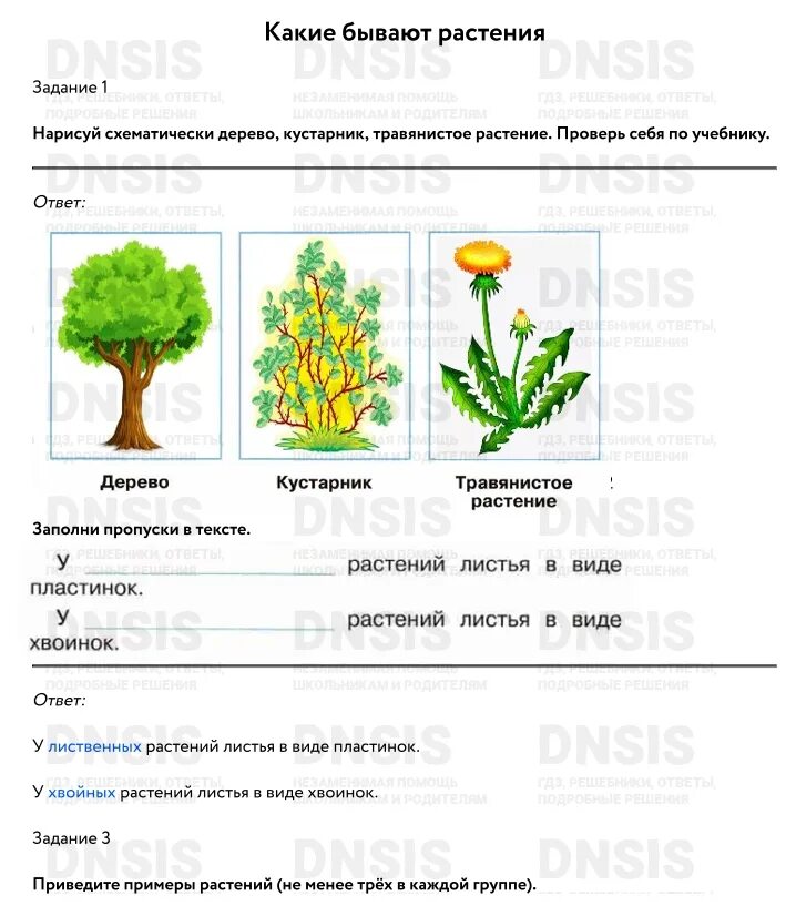 Окружающей 2 класс 1 часть ответы. Какие бывают растения. Какие бывают растения задания. Окружающий мир 2 класс рабочая тетрадь растения. Окружающий мир рабочая тетрадь 39.