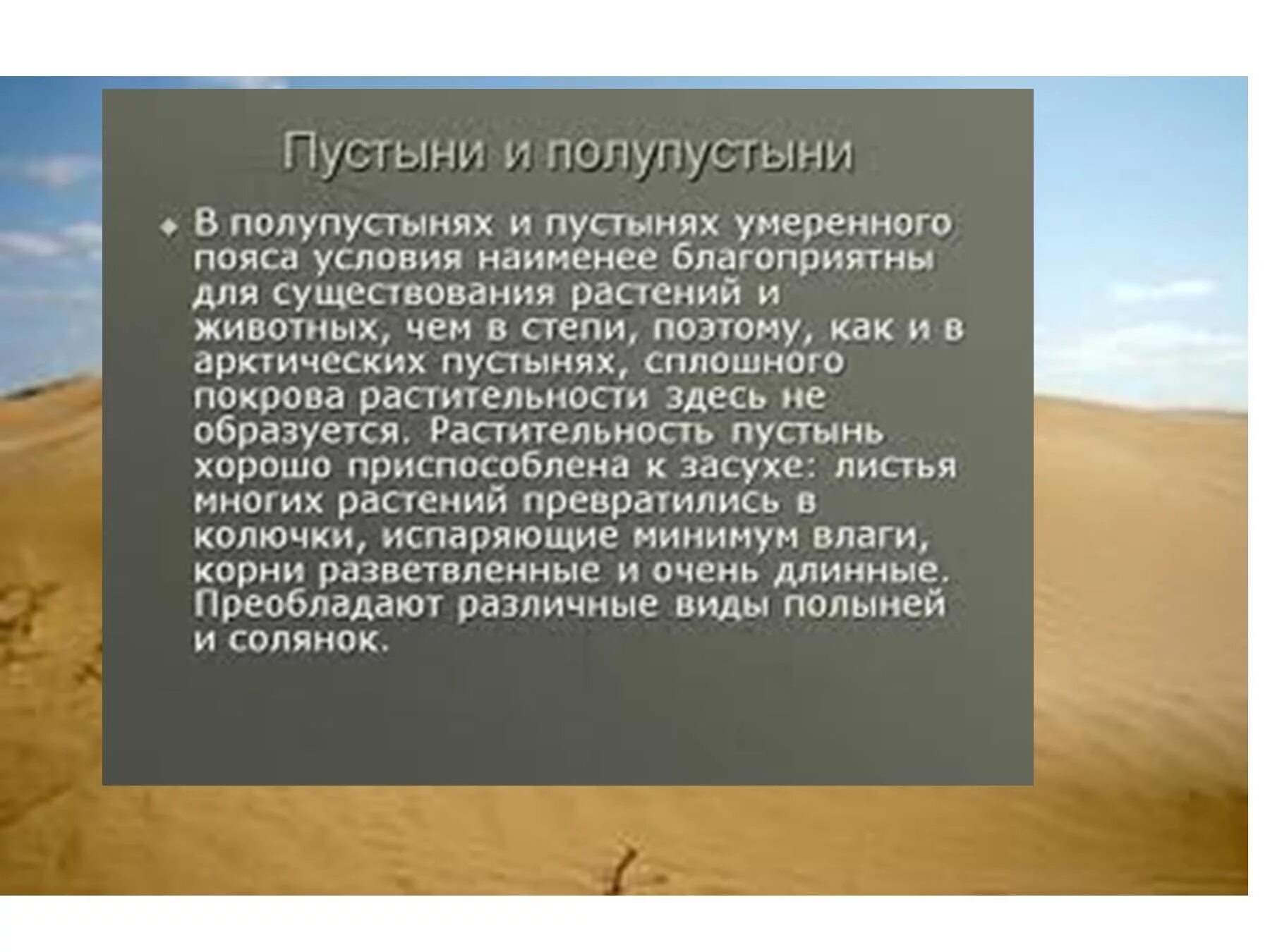 Пустыни и полупустыни условия. Пустыни умеренного пояса. Пустыни и полупустыни природная зона. Полупустыни умеренного пояса.