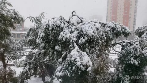 Снег 26 ноября