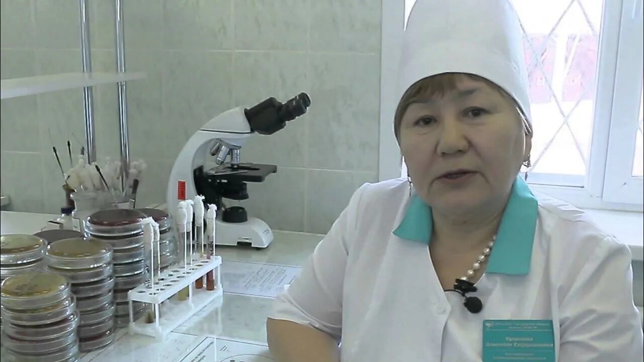 Баклаборатория это