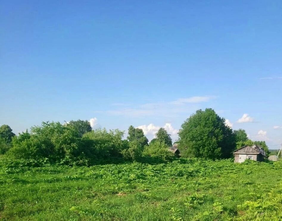 Как выглядело село мурино в 1980-1985. Погода в госткино. Погода в госткино. Деревня госткино лужский. Погода в госткино.