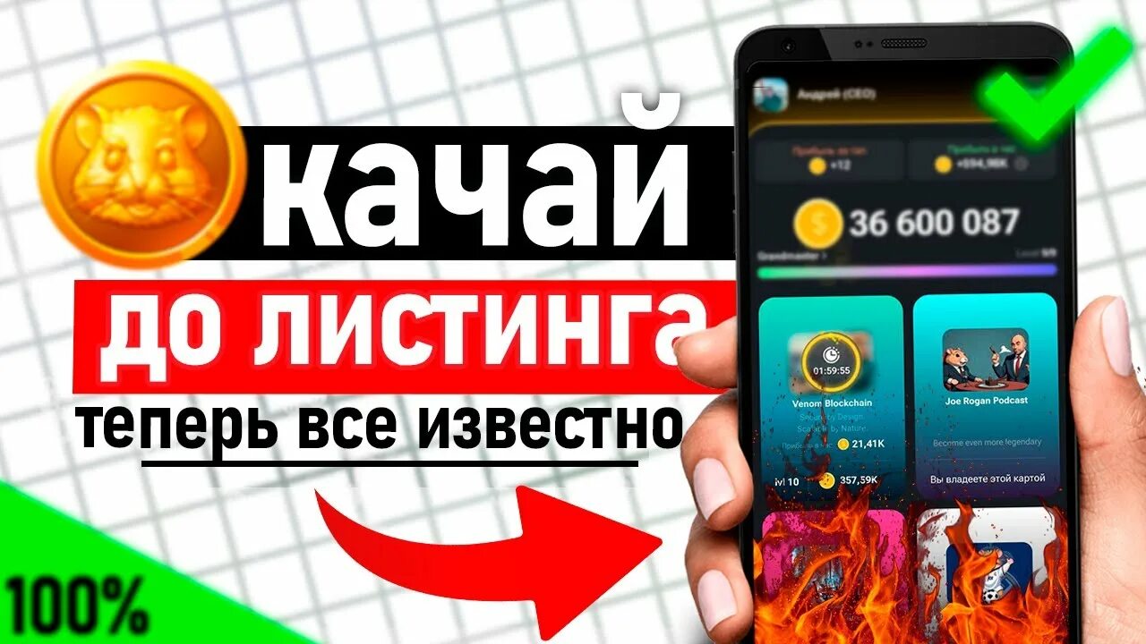 Биржа хамстер комбат как вывести деньги. Биржа хамстер комбат как вывести деньги