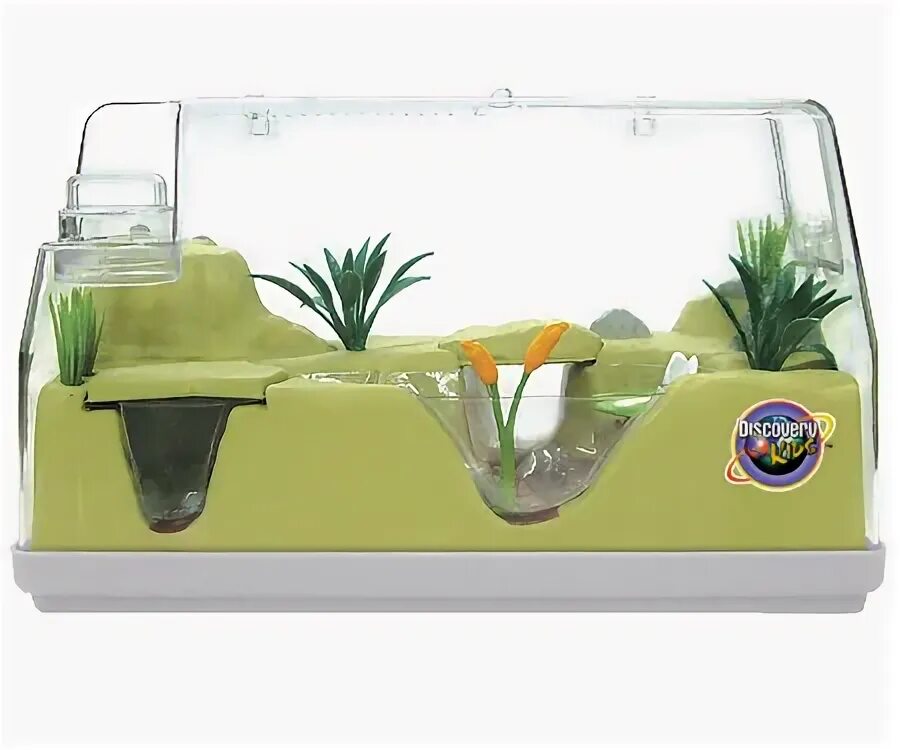 террариум для лягушки рогатки. террариумы для лягушек для рогатки. террариумы для лягушек для рогатки. террариум для травяной лягушки. террариум для лягушки рогатки.