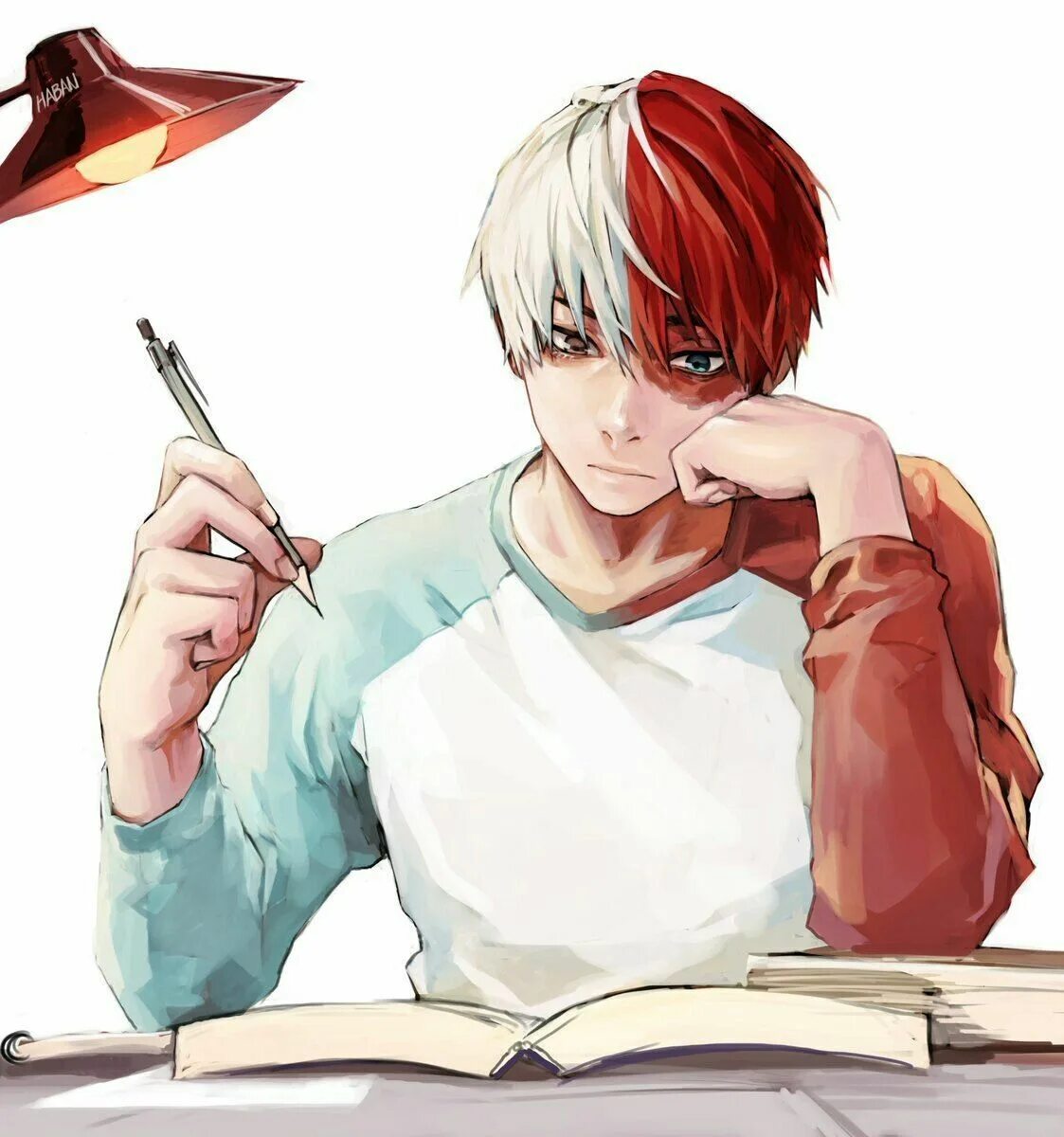 Todoroki reader