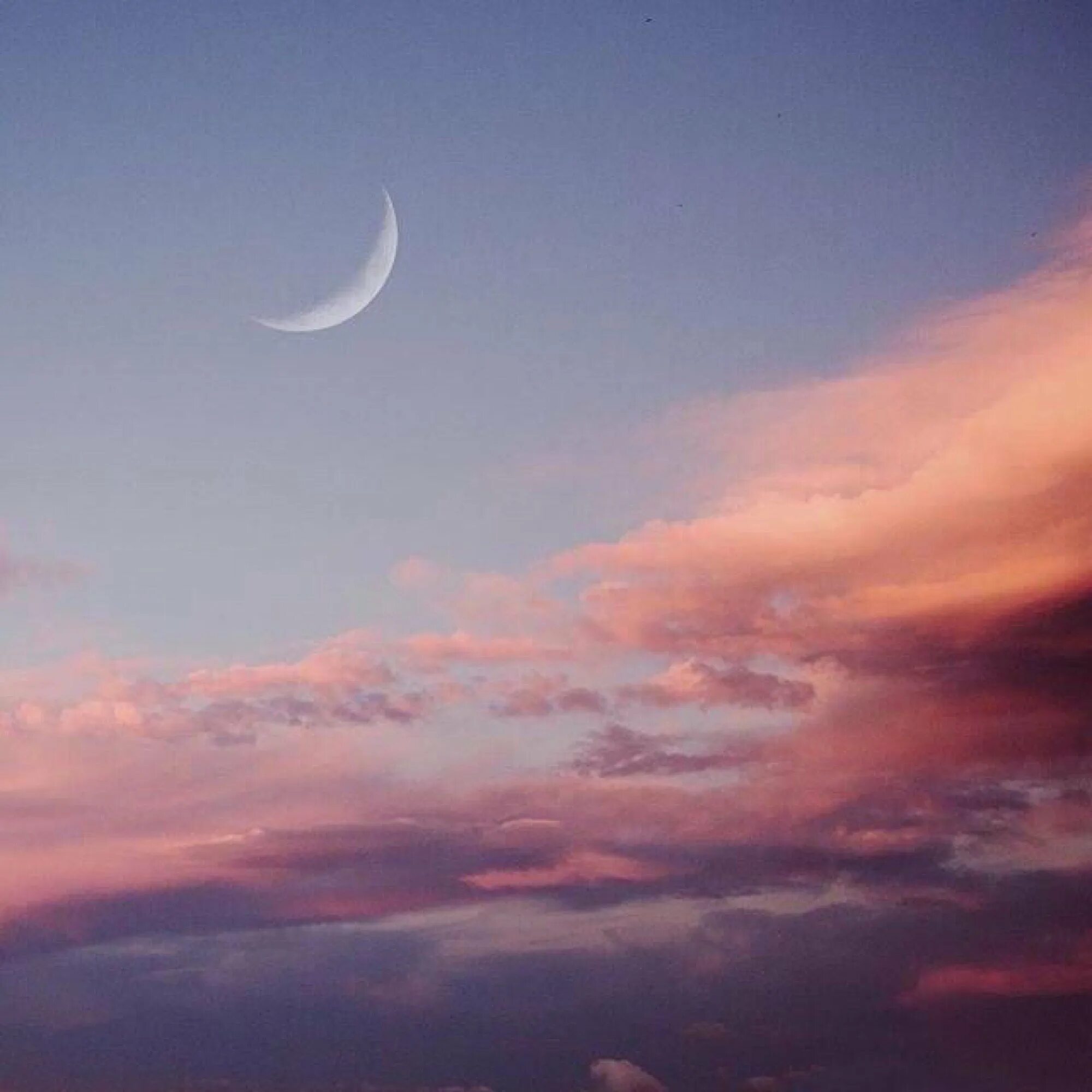 Самый прекрасный месяц. Месяц на небе. Луна на розовом небе. Луна на небе. Полумесяц на небе.