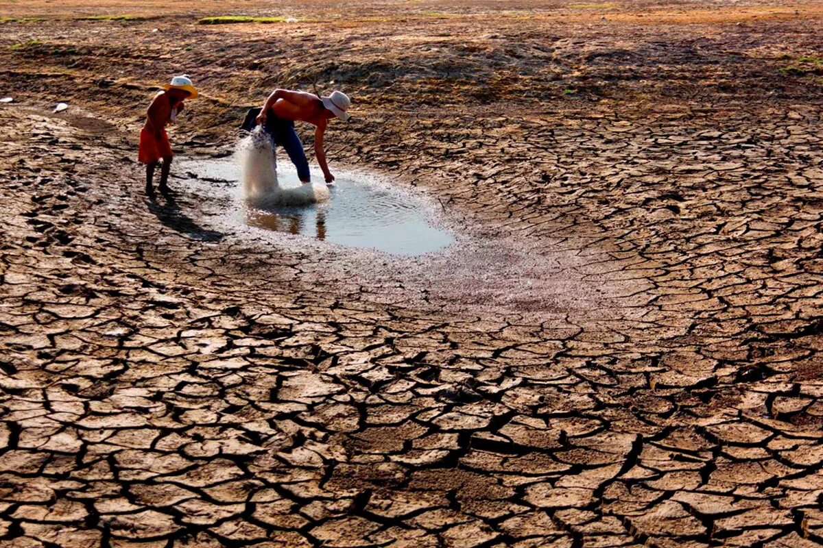 Засуха в мире. Дефицит воды. Дефицит пресной воды. Засуха это стихийное бедствие. Вода и засуха.
