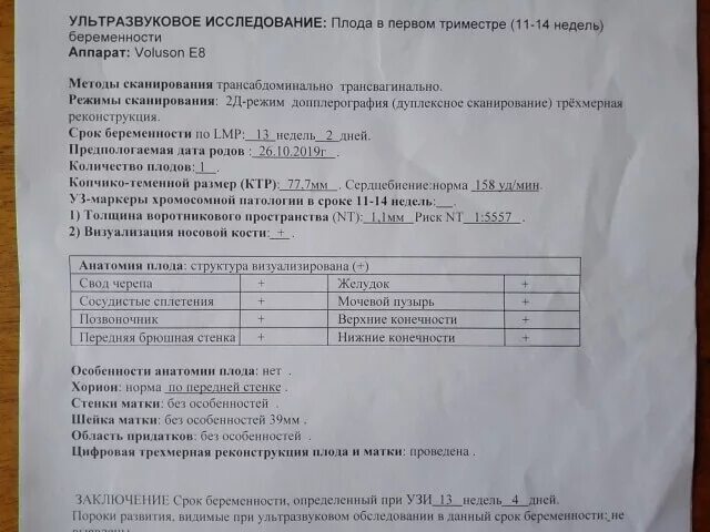 Узи при беременности сколько раз. Ультразвуковое исследование при беременности 1 триместр. УЗИ плода 1 триместра беременности. УЗИ 2 недели беременности 1 триместр. УЗИ плода 1 триместр.