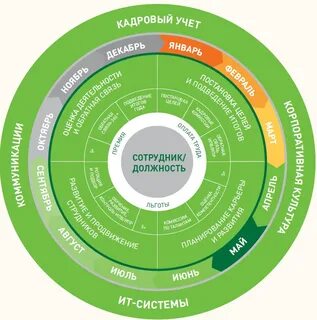 Цикл цели