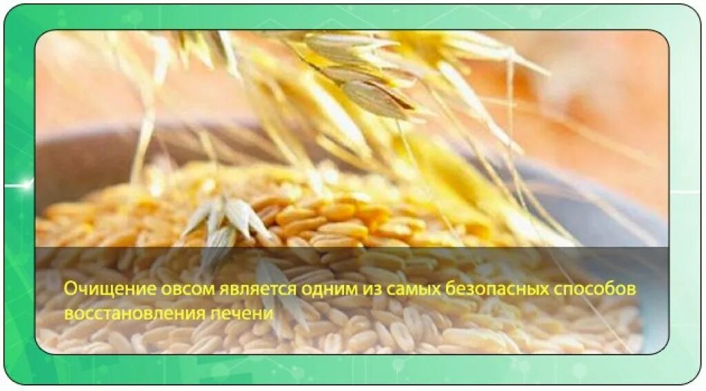 Чистка овсом в домашних условиях. Овёс для очищения организма. Овес для печени и поджелудочной. Овёс для печени. Овес для очистки печени рецепт.