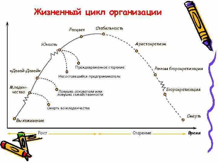 Анализ цикла организации. У Шмидт жизненный цикл компании. Модель г. Липпитт и у. Шмидт жизненный цикл организации. Жизненный цикл организации выхаживание. Фазы жизненного цикла моста.