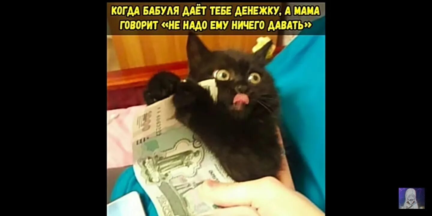 Ничего давать тебе не буду