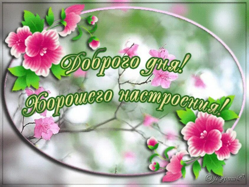 Открытки с пожеланиями удачного и хорошего дня. Доброго дня и хорошего настроения. хорошего дня и отличного настроения. прекрасного дня и отличного настроения. доброго дня и отличного настроения.