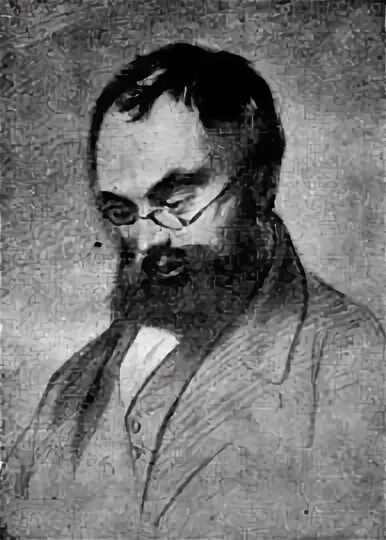 Н а северцев