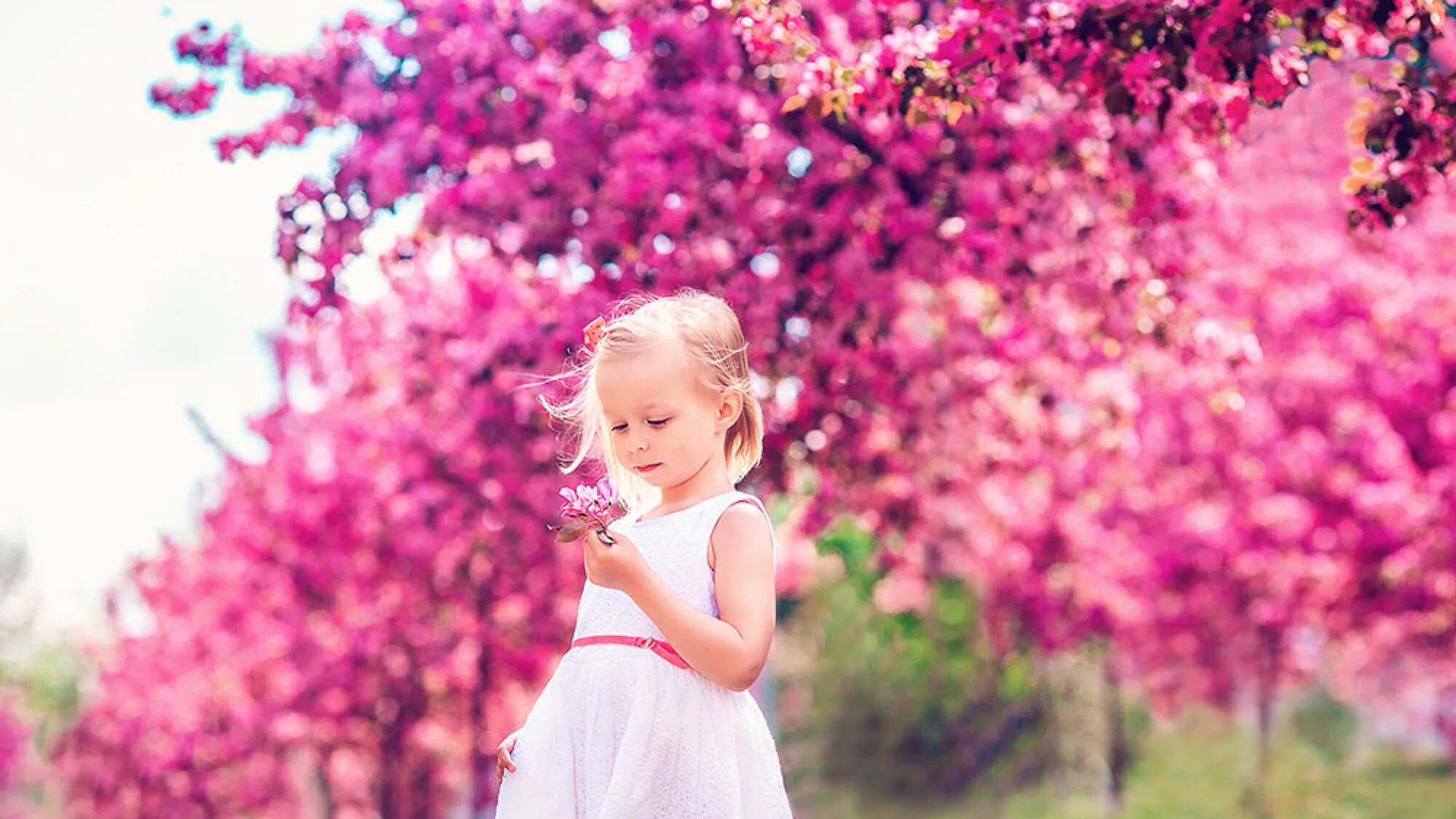 Девочка где то розовая. Весенняя фотосессия. Фотосессия в цветущем саду. Фотосессия в цветущих садах.