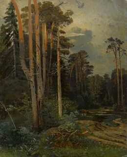 Саврасова лес