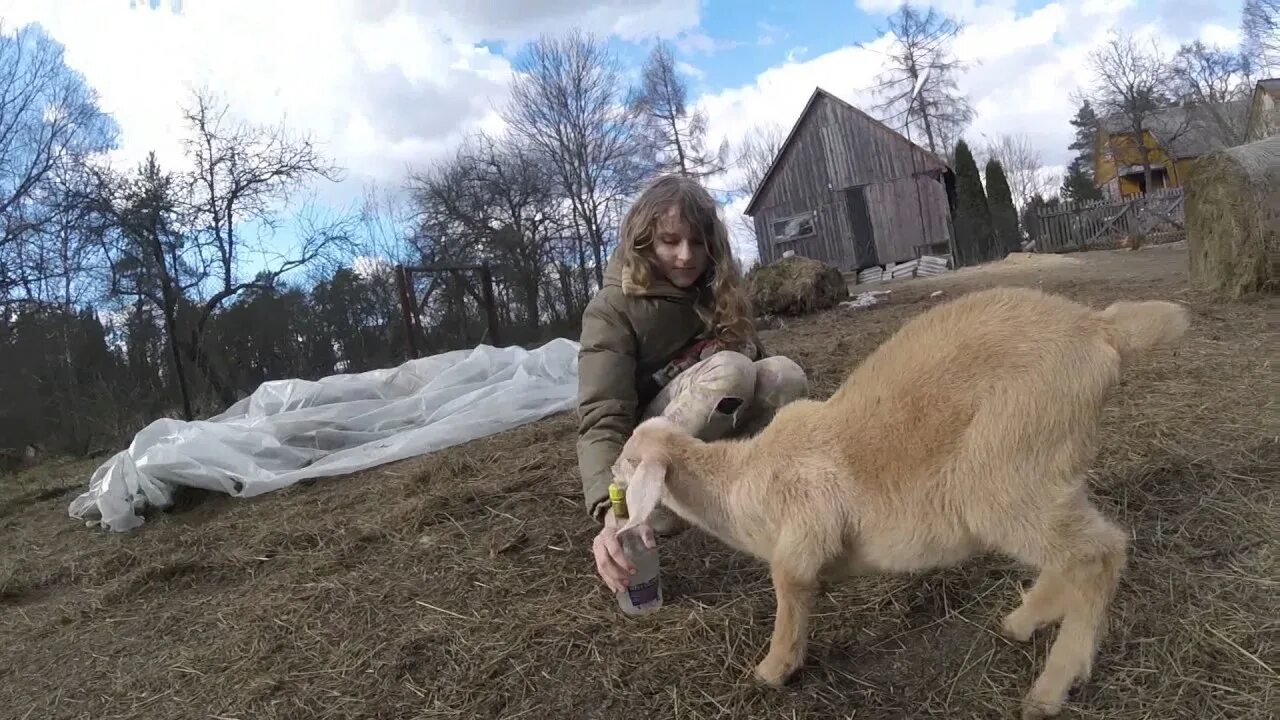 Деревенские каналы видео