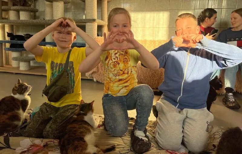 Приют преданное сердце. Сердце предателя. Стихи о дружбе и любви. Кошачий приют спб преданное сердце. Сердце предателя.