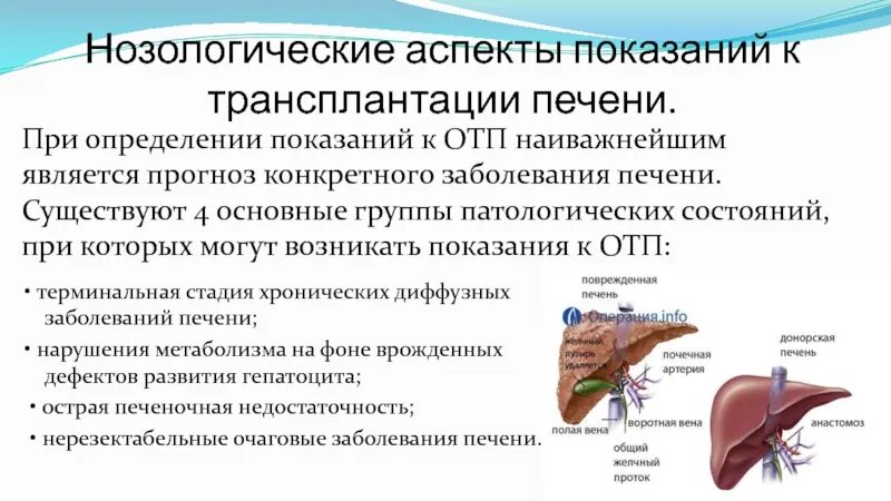 Пересаживают ли печень. Трансплантация печени. Показания для пересадки печени. Трансплантация печени презентация.