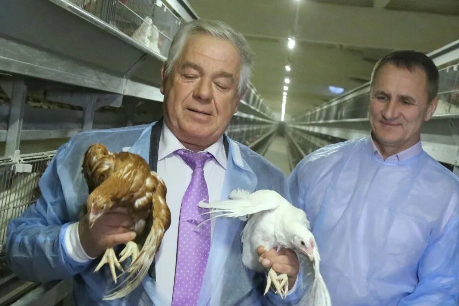 Птицефабрика кахун. Пионерская птицефабрика камчатка. Вашуров владимир директор птицефабрики башкортостан. Пионерская птицефабрика камчатка. Руководитель птицефабрики.