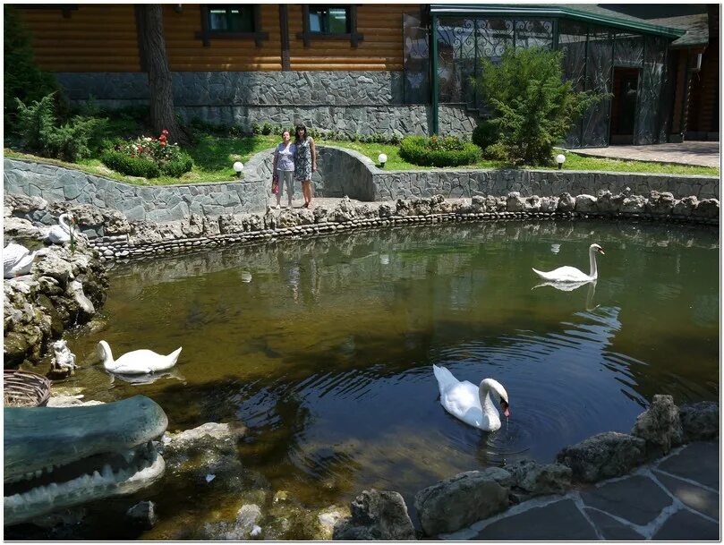 Парк родник сайт. Парк Родник Пятигорск. Парк Родник Пятигорск зоопарк. Парк отель Родник Пятигорск.