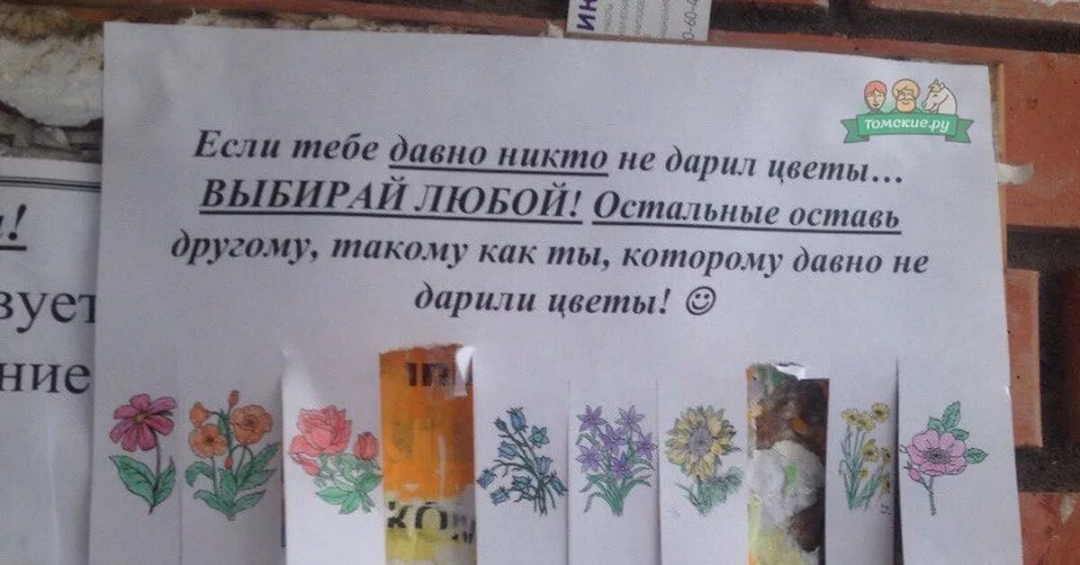 Никогда никому не дарят. Объявления если вам давно не дарили цветы. Шуточные объявления. Забавные объявления. Забавные Отрывные объявления.