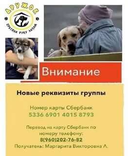 Приют старая русса