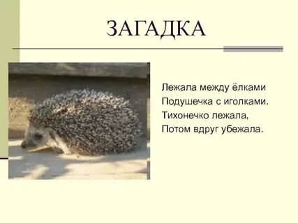 Несть бо тайно еже не явленно будет