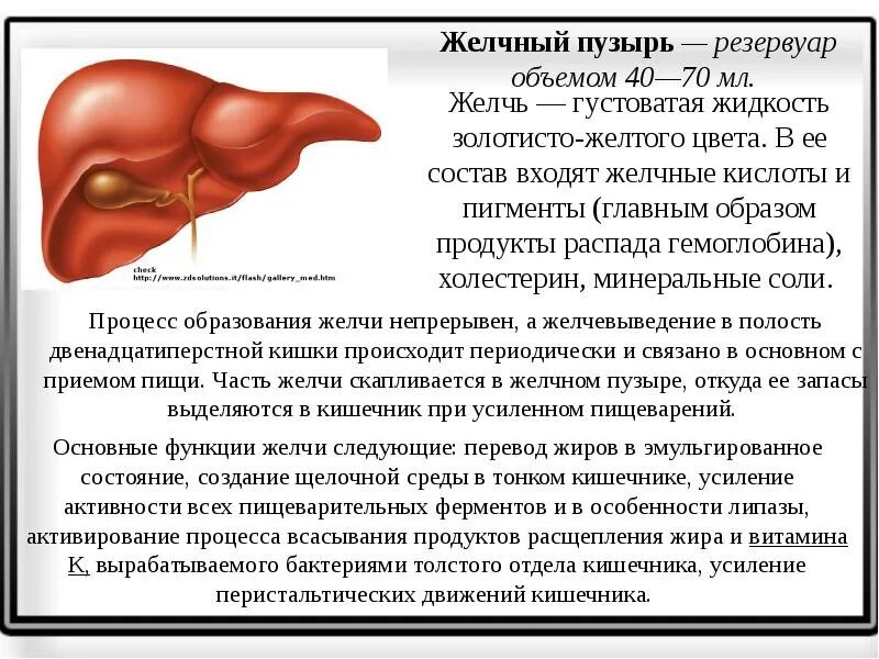 Желчь бывает. Желчь,желчный пузырь ,желчеобразование. ферменты желчного пузыря. состав желчи в желчном пузыре.