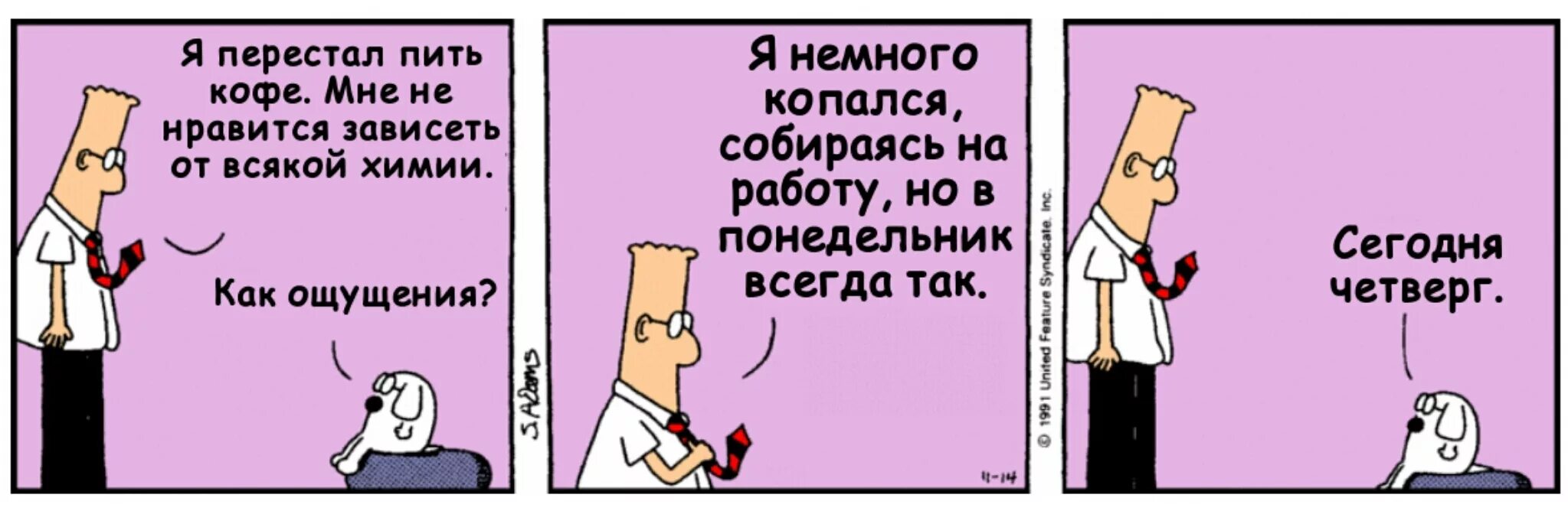 Как пишется понидельник или понедельник. Шутки про четверг. Анекдот про четверг. Мемы про четверг. Анекдоты про четверг смешные в картинках.