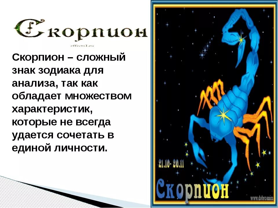 7 октября какой знак зодиака по гороскопу. Знак зодиака Скорпион. Скорпион характеристика. Характер скорпиона. Скорпион знак зодиака характеристика.