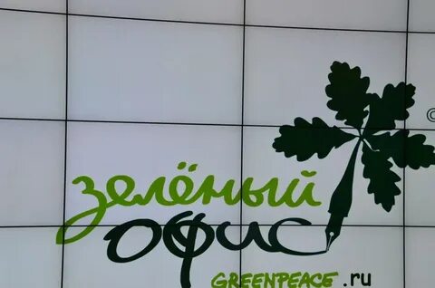 Гринпис где находится штаб