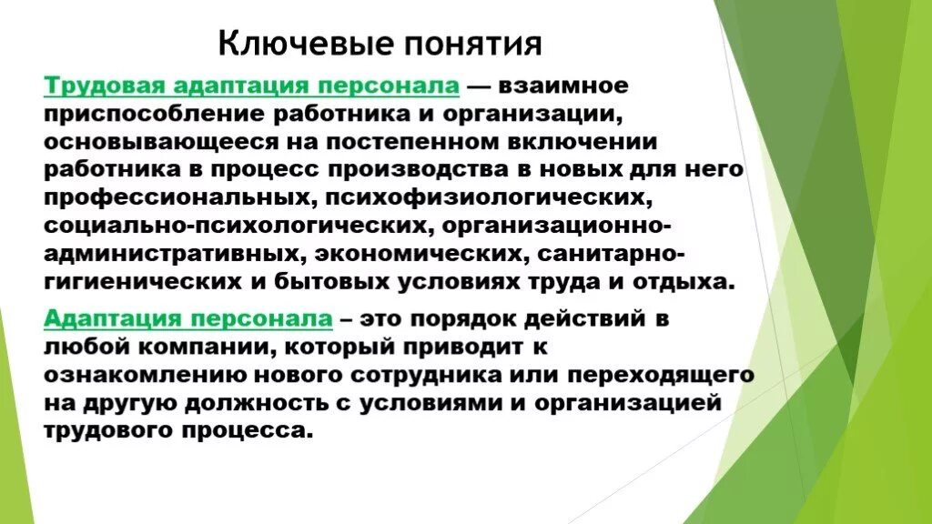 Руководитель адаптированной