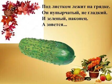 Привязаны к грядке