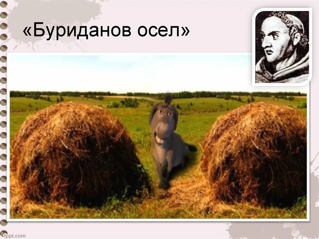 Буриданов осел происхождение фразеологизма. Буриданов осел. буриданов осел смысл. осел между двумя стогами. буриданов осел карикатура.