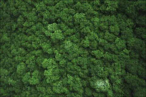 Full greens
