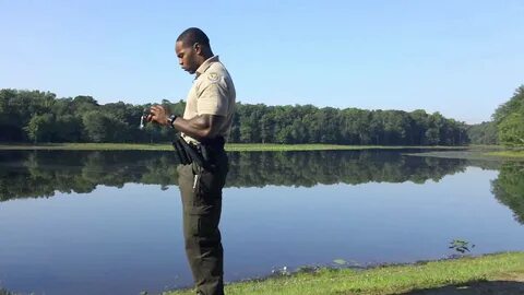 Wildlife services