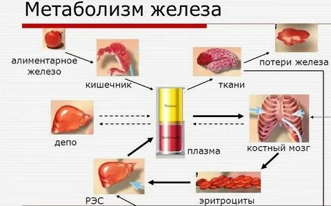 Язык железо